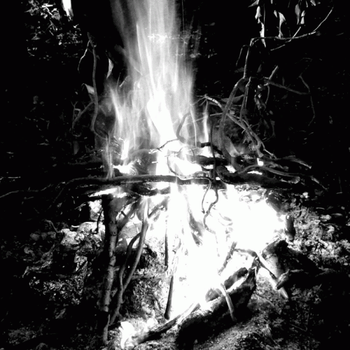 Plague Crawler : Carrion Lord